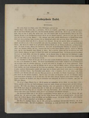 [Sechszehnte Tafel. - Zwanzigste Tafel.]