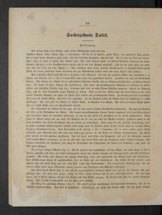[Sechszehnte Tafel. - Zwanzigste Tafel.]