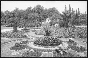 Dresden. Anlagen im Großen Garten