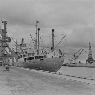 Urlaubsbilder Rostock 64 : Rostock. Hafen. Fracht- und Ausbildungsschiff "J. G. Fichte"