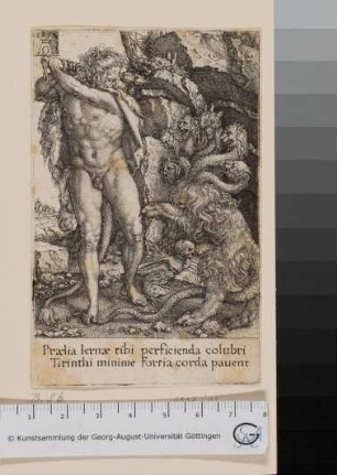 Herakles tötet Hydra
