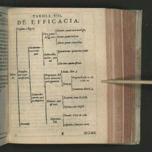 Tabula VIII. De Efficacia.