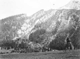Im Gebirge : Blick auf einen bewaldeten Gebirgshang