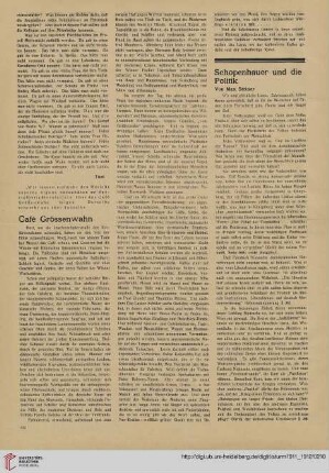 Schopenhauer und die Politik
