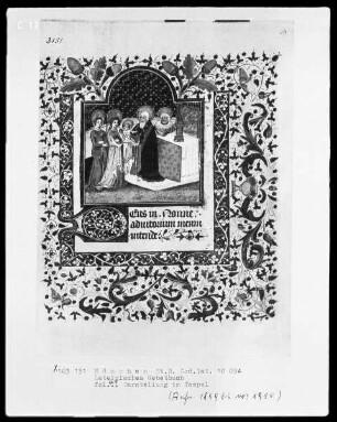 Lateinisches Gebetbuch mit französischem Kalender — Darstellung im Tempel, Folio 49