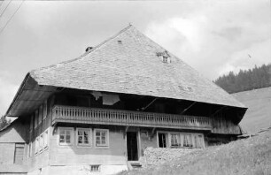 Todtnauberg: Schwarzwaldhaus am Hang; von unten