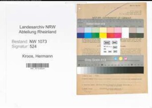 Entnazifizierung Hermann Kroos , geb. 31.08.1902 (Schneidermeister)