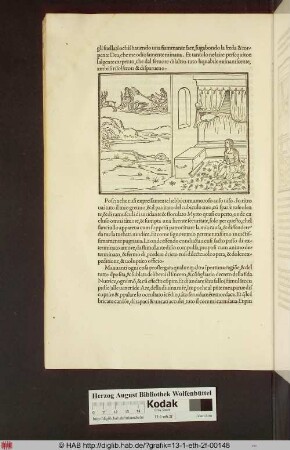 [Polia beobachtet aus ihrem Zimmer heraus Amor und Nymphen auf Triumphwagen]