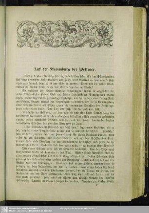Auf der Stammburg der Wettiner