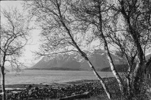 Fjord : Fjord. Am anderen Ufer ein Bergmassiv.