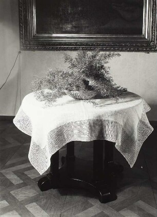 Tischdecke : Runder Tisch mit Tischdecke und Grünpflanze (wohl in der Wohnung der Fotografin)