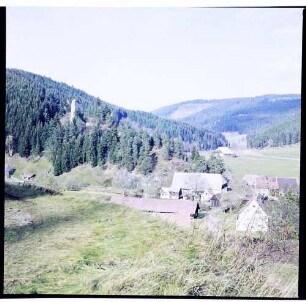 Hammereisenbach: Bregtal mit Ruine Neufürstenberg