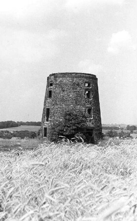 Dresden-Reitzendorf. Ruinöse Holländermühle