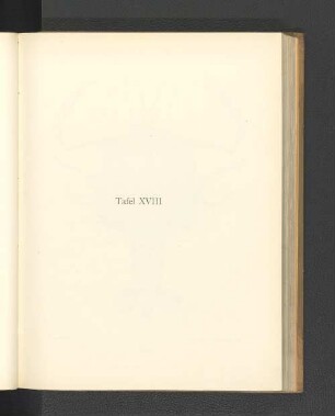 Tafel XVIII