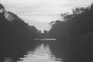 Am Rio Acacías (Lateinamerika-Aufenthalte 1934/1942 - 2. Kolumbien 1934-1937)