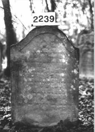 Grabstein 2239