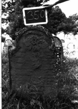 Grabstein 350 (Index: 100103047) Material: Sandstein Zustand: stark verwittert, abgeblättert, vollständiger Textverlust Maße HxBxT: 105x57x7 cm Beschreibung: Stele, eingezogener Rundbogenabschluss, Schriftfeld eingetieft: Grabstein 350