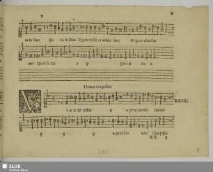 XXVIII. Crecquillon, Thomas: Venite et videte opera Domini
