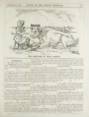 The shortage of male labour
