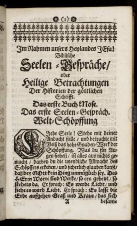 Das erste Seelen-Gespräch. - XII.