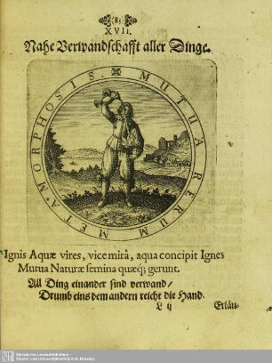 XVII. Nahe Verwandschafft aller Dinge