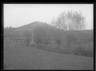 Bachlauf mit Markierungslatten und Kopfweiden