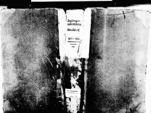 Inzlingen LÖ; Katholische Gemeinde: Geburtenbuch 1811-1846