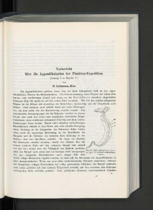 Vorbericht über die Appendikularien der Plankton-Expedition. (Anhang 2 zu Kapitel V.)
