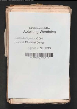 Prozeß zwischen der Familie von Gronefeld und dem Kloster Corvey wegen der Meierhöfe zu Godelheim, Erkeln, Beller und Beverungen