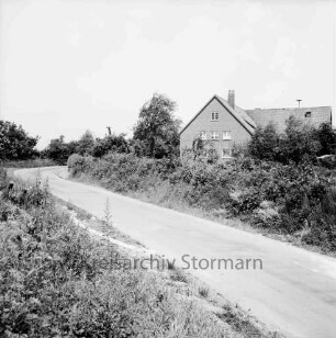 Tralau: Wirtschaftsweg nach Neversdorf: rechts und links Büsche: im Hintergrund rechts Wohngebäude