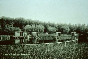 Kurpark: Salzteich