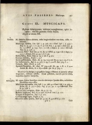 ORDO III PASSERES GENUS XL MUSICAPA