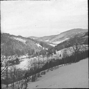 Blick zum Titisee