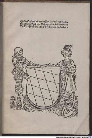 Etlich' Freyhait die von Keysern Koenigen vnd Fürsten dem löblichen Hauß von Beyrn gegeben sind worden die Die Ritterschafft jn Nidern Beyrn bey jrn handen hat