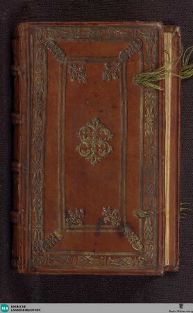 Wappenstammbuch - Cod. Karlsruhe 2819
