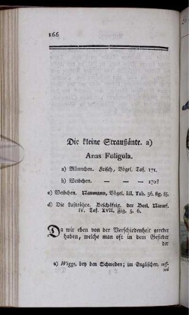 Die kleine Straußänte. Anas Fuligula.