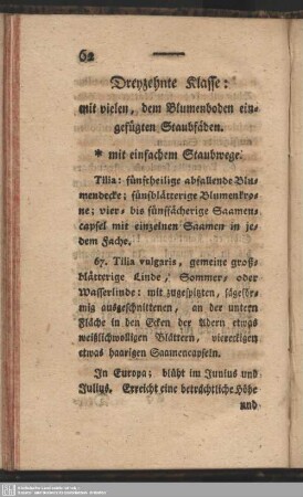 Dreyzehnte Klasse: mit vielen, dem Blumenboden eingefügten Staubfäden
