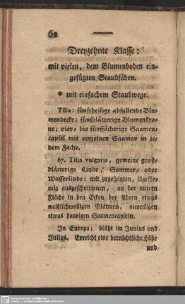 Dreyzehnte Klasse: mit vielen, dem Blumenboden eingefügten Staubfäden