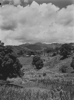 Die Uluguru-Berge : Ausläufer der Uluguru-Berge. Im Bildvordergrund Landwirtschaftliche Anbauflächen. In der Bildmitte Hütten einer Siedlung