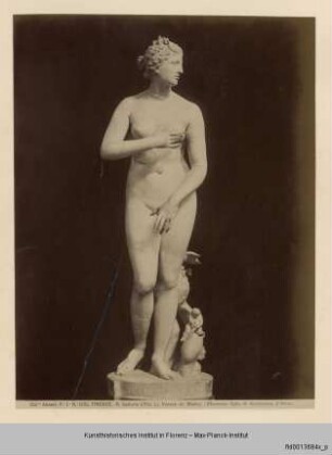 Venus Medici (Typ der knidischen Aphrodite)