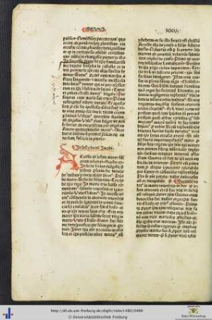 Sermones XXV-XXVII