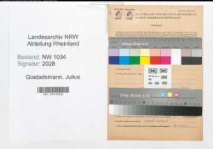 Entnazifizierung Julius Goebelsmann , geb. 26.05.1874 (Stabsfeldwebel)