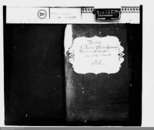 . Angelegenheiten der kurtrierischen Vormundschaft über Nassau-Hadamar und die Marquise von Westerloo: Band 2