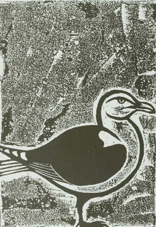Möwe