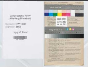 Entnazifizierung Peter Leygraf, geb. 09.06.1892 (Verw.Angest.)