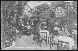 Hainichen. Wintergarten