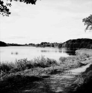 Grabauer See: im Vordergrund Wanderweg: hinten Bäume