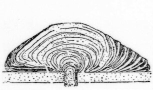 Quellkuppe, Schema (Reyer) : Geologie | Vulkanismus | Zentraleruptionen und Lavavulkane