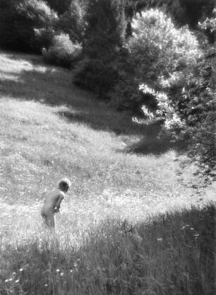 Kinderbilder. Nacktes Mädchen auf einer Wiese