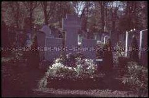 Familiengrab auf dem Friedhof Berlin-Tegel